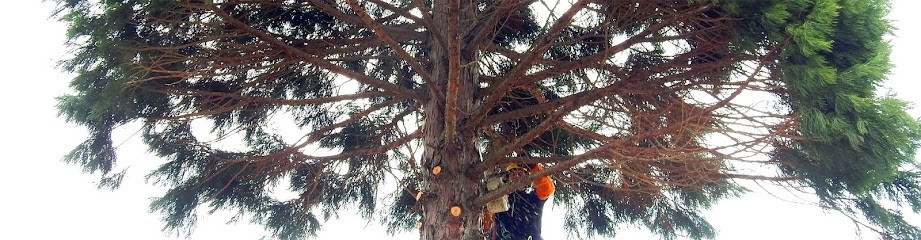 Duhamel Elagage Abattage, Paysagiste au Pin