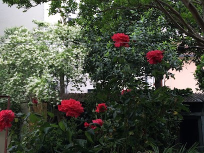 Le Jardin Retrouve, Paysagiste à Tournay