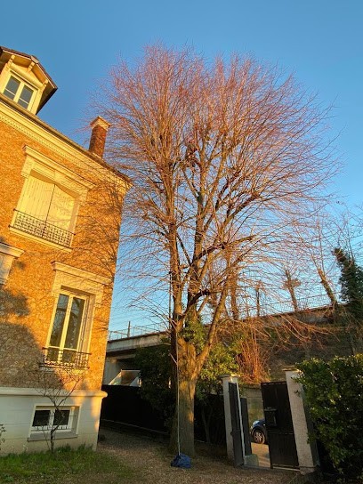 Maison Pain Alexandre, Paysagiste à Meudon