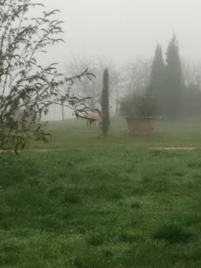 Naturel, Paysagiste à Fontenilles