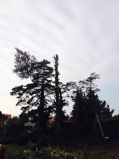 ISA PAYSAGE, Paysagiste à Maclas