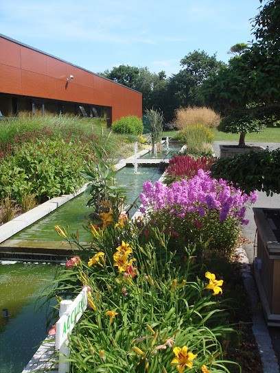 Jardin Service, Paysagiste à Plabennec