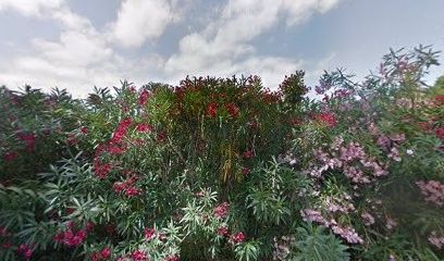 NAMARE, Paysagiste à Linguizzetta