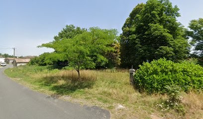 TD Paysages, Paysagiste à Cercoux