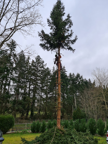Normandie Créa Pro/Normandie Presta Services Paysagiste à Fontaine-l'Abbé