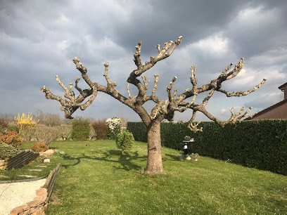 LOGUT Kevin Espaces Verts, Paysagiste à Moissieu-sur-Dolon