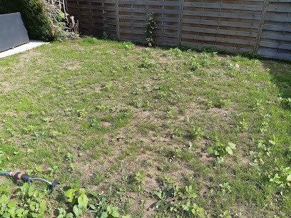 Lebert Paysagiste - Paysagiste Jardinier, Entretien De Jardins à Indre-et-Loire., Paysagiste à Esvres