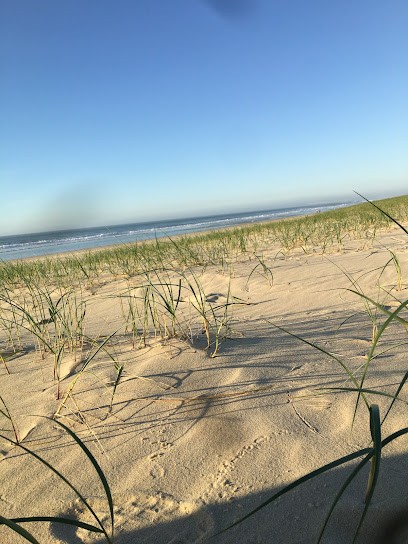 Morhain Pascal, Paysagiste à Parentis-en-Born