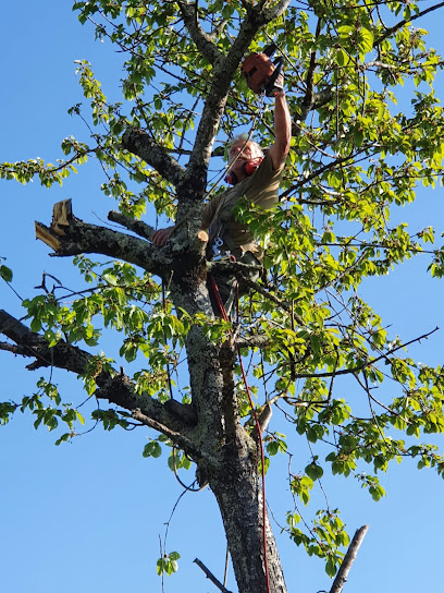 Nature Services, Paysagiste à Nizas