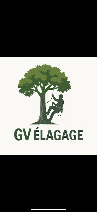 Gv Élagage Paysagiste à Villefranche-de-Rouergue