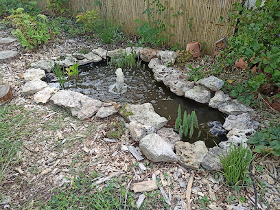 Eklore Paysagiste à Cléry-Saint-André