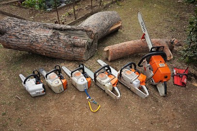 MBS paysage, Paysagiste à Conflans-Sainte-Honorine