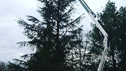 Teppe Arnaud, Paysagiste à Laiz