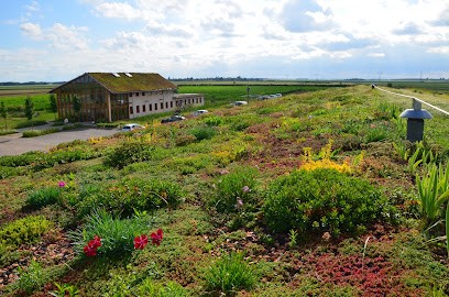 ECOVEGETAL, Paysagiste à Broué