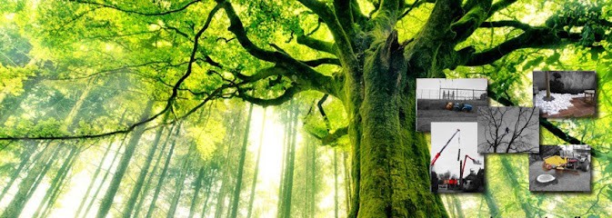 Corberon Environnement SARL, Paysagiste à Saint-Clément