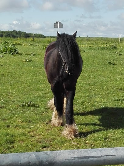 Mezieres Paysages, Paysagiste à Mézières-en-Vexin