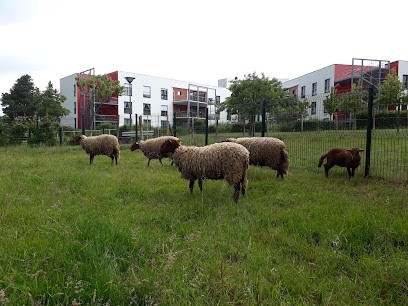 Cousu Main, Paysagiste au Loroux-Bottereau