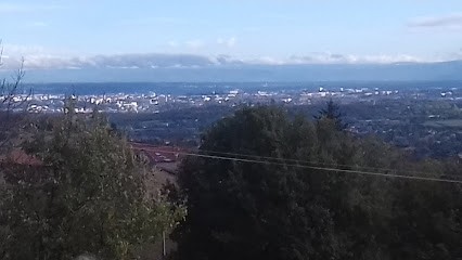 Gougenot Jardin Services, Paysagiste à Messimy