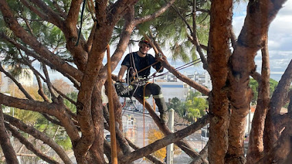 Vertuose Espace Vert Paysagiste à Marseille 10