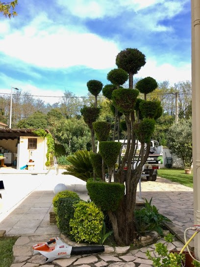 Vert en Lumière, Paysagiste en Ardèche, Paysagiste au Teil