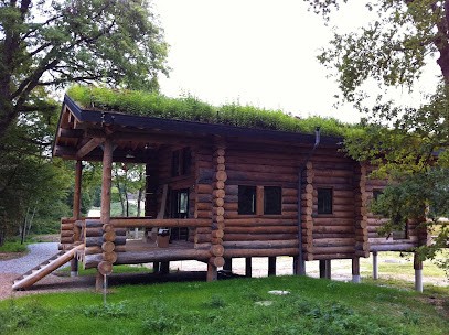 Des Racines & Des Murs - L'Arrosoir, Paysagiste à Gières