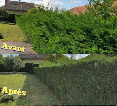 David Élagage, Paysagiste à Ambarès-et-Lagrave