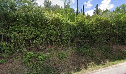 Gay Guillaume, Paysagiste à Clermont-l'Hérault