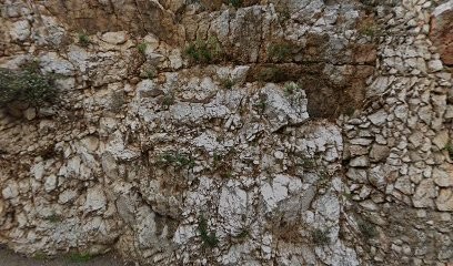 Duliere Franck, Paysagiste à Villefranche-sur-Mer