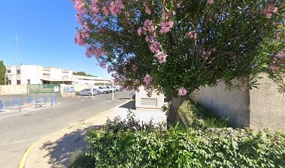 Garden Service, Paysagiste au Grau-du-Roi