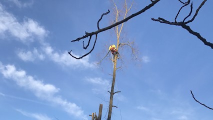 Juvenfreres, Paysagiste à Hostun