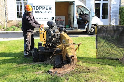 David Cropper Stump Grinding / Dessouchage Service, Paysagiste à Voulême