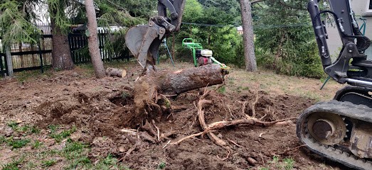 Nature Concept, Paysagiste à Ceyssac