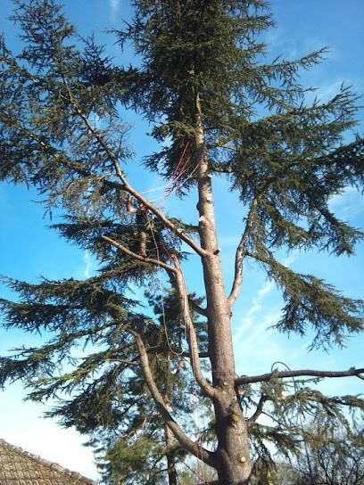 Avenir Création, Paysagiste à Draveil