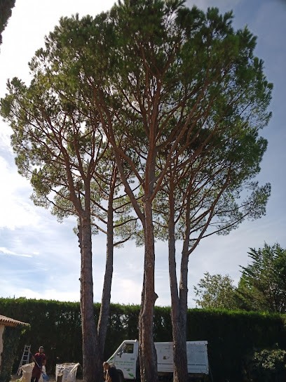 Deydier Bernard, Paysagiste à Monteux