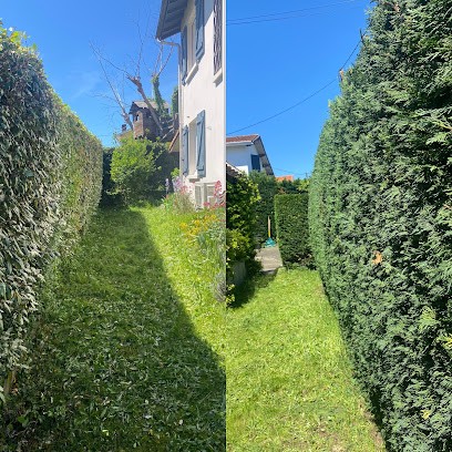 Vision Nature - Parcs et Jardins, Paysagiste à Carcen-Ponson