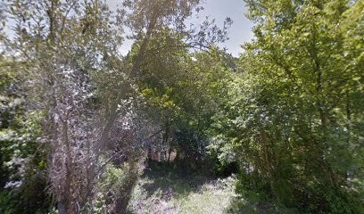 Bourges Jérome, Paysagiste à Bargemon