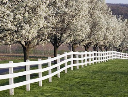 Espaces Verts - Entretien, Paysagiste à Bretigny