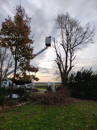 gazancon richard entretien espace vert et élagage, Paysagiste à Saumur