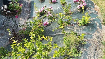 Fdpaysage, Paysagiste à Saint-Désir