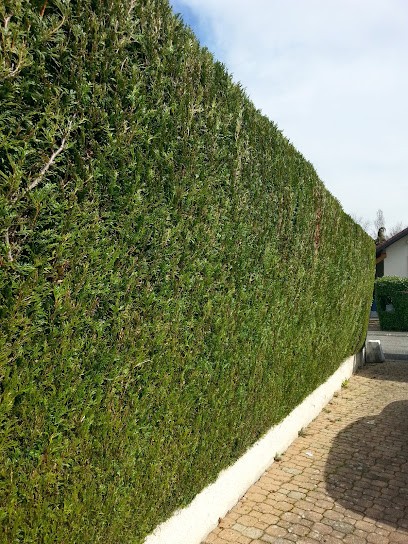 Paysagiste Franck GROIZELEAU, Paysagiste à Gex