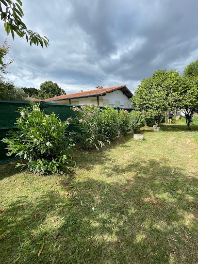 A.P Paysage, Paysagiste à Sainte-Foy-de-Peyrolières