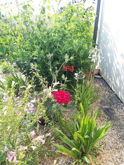 Agapanthe Paysage, Paysagiste à Talmont-Saint-Hilaire