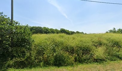 Tailhardat Paysagiste, Paysagiste à Loctudy