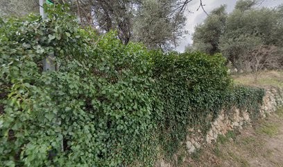 Salvia Paysages, Paysagiste à Roquevaire