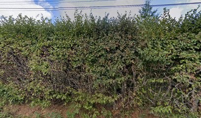 Agrivert, Paysagiste à Sanvignes-les-Mines