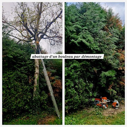 Ehni Patrick Artisan paysagiste, Paysagiste à Drancy