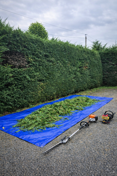 Taille De Haie 24 Paysagiste à Bergerac