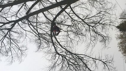 Élagueur Paysagiste, Paysagiste à Nevers