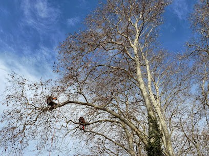 L'arboriste du paysage, Paysagiste à Préserville