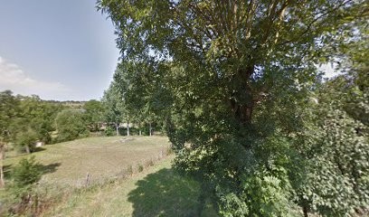 VIVA NATURE, Paysagiste à Salles-la-Source